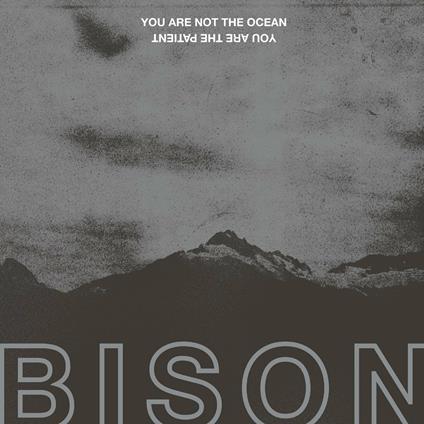 You Are Not the Ocean. You Are the Patient - Vinile LP di Bison
