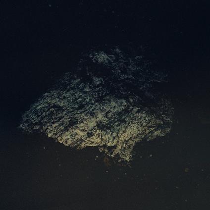 Lost World - CD Audio di Multicast Dynamics