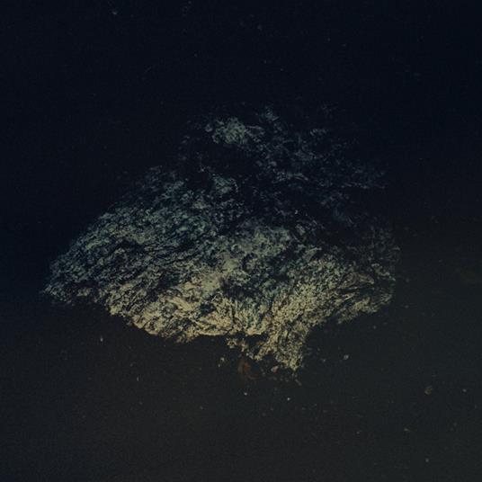 Lost World - CD Audio di Multicast Dynamics