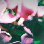 You Make Everything Disappear (Coloured Vinyl)