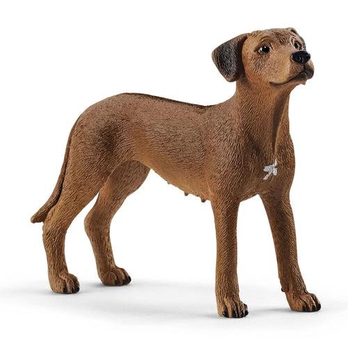 Cane Rhodesian Ridgeback Schleich (13895)