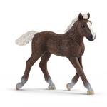 Puledro Foresta Nera Schleich (13899)