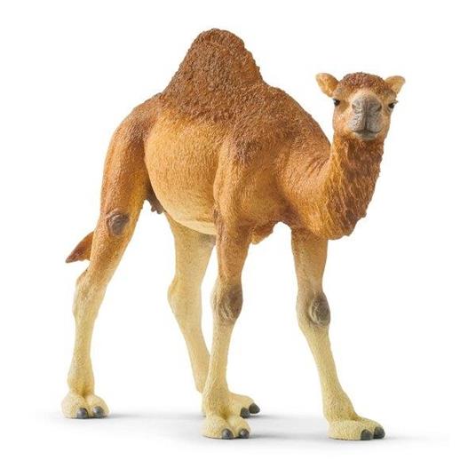 Dromedario Schleich (14832) - 3