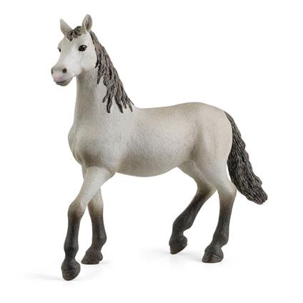 Puledro Di Pura Razza Spagnola Schleich (13924)