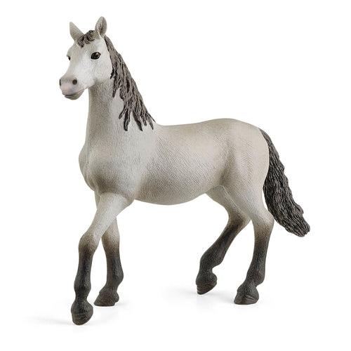 Puledro Di Pura Razza Spagnola Schleich (13924)