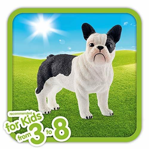 Cane Bulldog Francese Schleich (13877) - 5