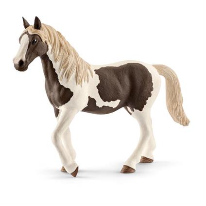 Cavalla Pinto Schleich (13830)