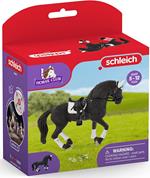 Horse Club Schliech-S 42457 Concorso Ippico Stallone Frisone