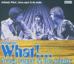 Definitely What! (with Trinity) - Vinile LP di Brian Auger