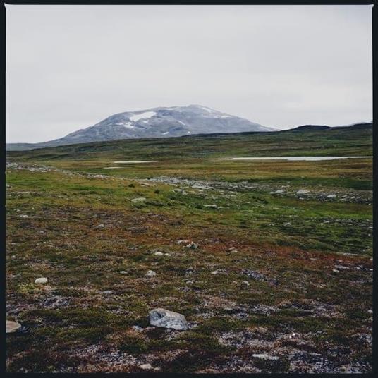 Tundra - Vinile LP di Gidge