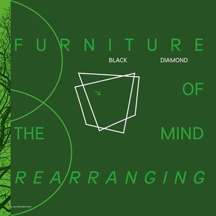 Furniture Of The Mind Rearranging - Vinile LP di Black Diamond