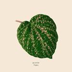 Tropics (Peach Marble Vinyl)