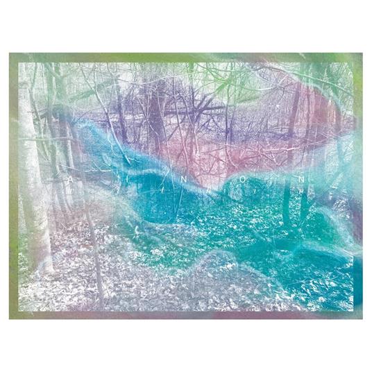 Within - Vinile LP di Ainon
