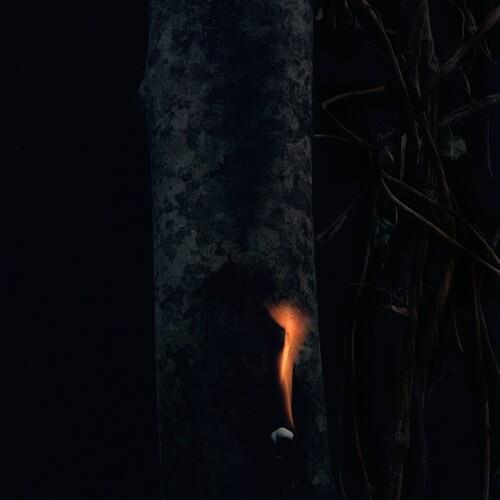 Jump Ship, Sit Lean, Be Still, Stand Tall - Vinile LP di Bzdb