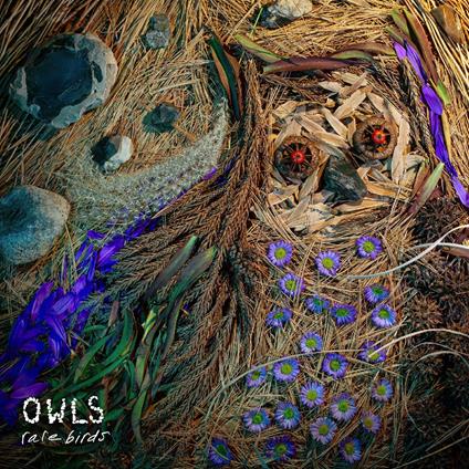 Rare Birds - CD Audio di Owls