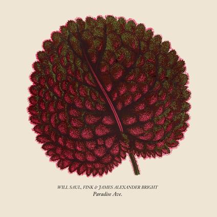 Paradise Ave - Vinile LP di Will Saul