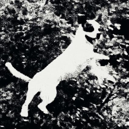 Azura - Vinile LP di Edmondson