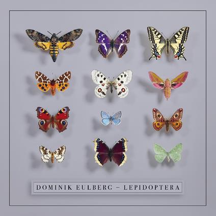 Lepidoptera - Vinile LP di Dominik Eulberg