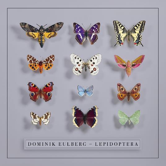 Lepidoptera - Vinile LP di Dominik Eulberg
