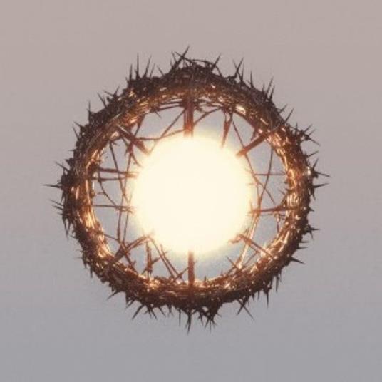 Home - Vinile LP di Ziur