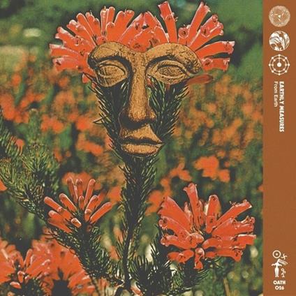 From Earth - Vinile LP di Earthly Measures