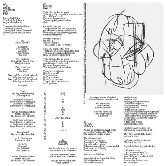 Asystole Flatline - Vinile LP di Sutja Gutierrez