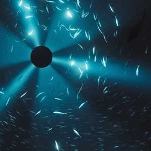 CD Midnight Zone Laurel Halo