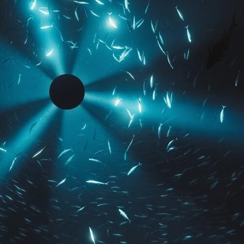 Midnight Zone - CD Audio di Laurel Halo