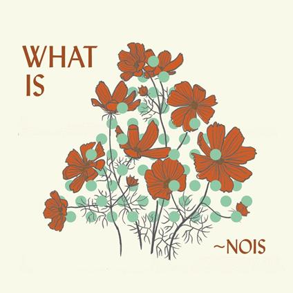 What Is Nois? - CD Audio di Nois