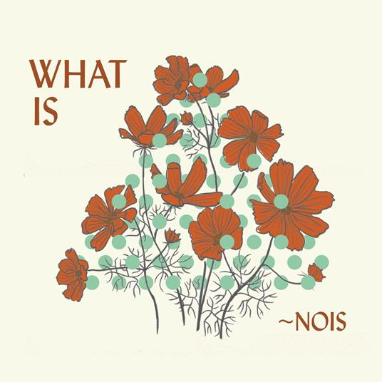 What Is Nois? - CD Audio di Nois