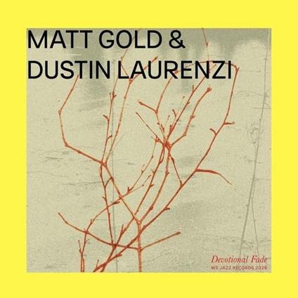 Devotional Fade - Vinile LP di Matt Gold