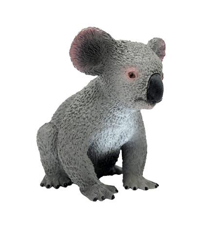Safari - Koala