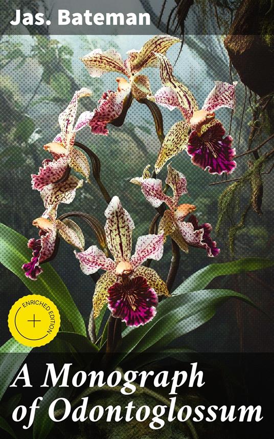 A Monograph of Odontoglossum