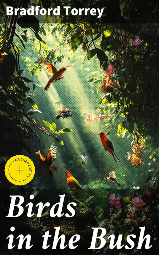 Birds in the Bush