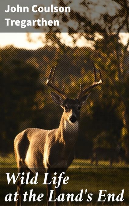 Wild Life at the Land's End