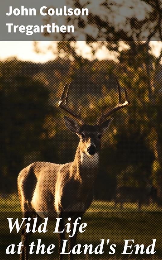 Wild Life at the Land's End