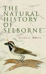 The Natural History of Selborne