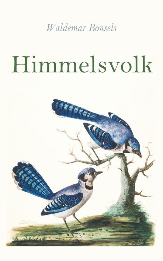 Himmelsvolk - Waldemar Bonsels - ebook