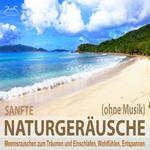 Sanfte Naturgeräusche (ohne Musik) - Meeresrauschen zum Träumen und Einschlafen, Wohlfühlen, Entspannen - Wellenrauschen pur, sanfte Naturgeräusche pur