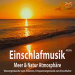 Einschlafmusik (432Hz) Meer Natur Atmosphäre: Wassergeräusche zum Träumen - Entspannungsmusik zum Einschlafen, Meeresauschen, Seevögel