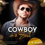 Cowboy in a Suit - The Misters, Buch 7 (ungekürzt)