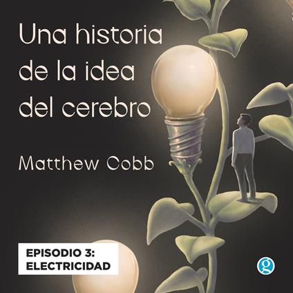 Electricidad - Una historia de la idea del cerebro, Episodio 3