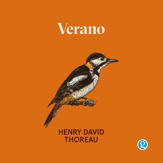 Verano (Completo)