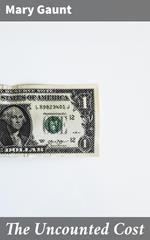 The Uncounted Cost