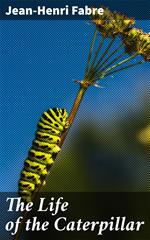 The Life of the Caterpillar