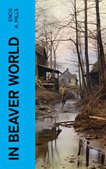In Beaver World
