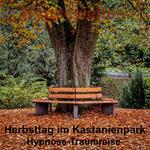 Herbsttag im Kastanienpark