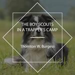 The Boy Scouts in a Trapper's Camp