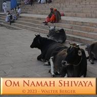 Om Namah Shivaya - 108 Mantras