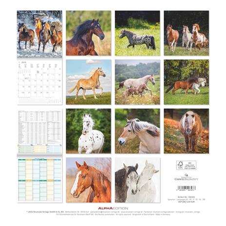 ALPHA EDITION - Calendario 2026 da muro, 12 mesi, 30x30 cm, Horses - 2
